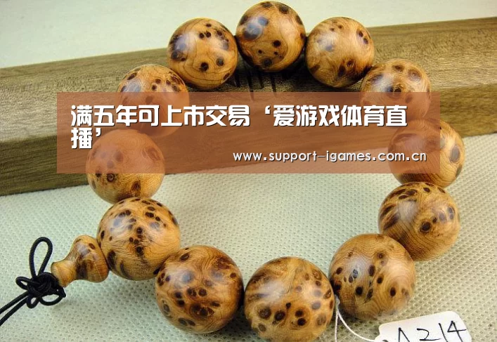 爱游戏娱乐