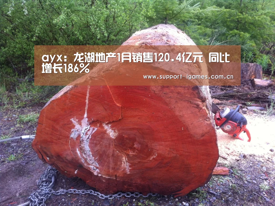 爱游戏体育直播