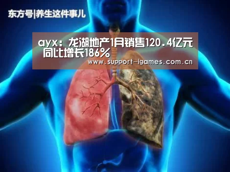 体育手机端APP