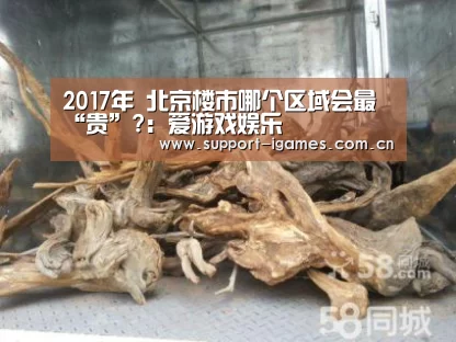 体育手机端APP