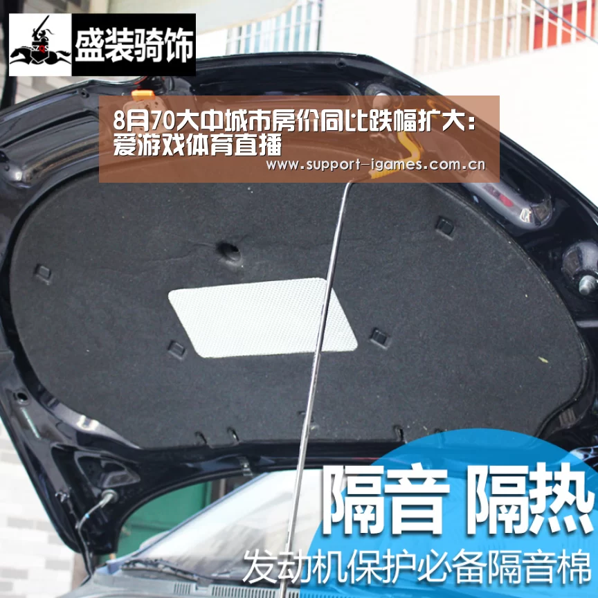 体育手机端APP