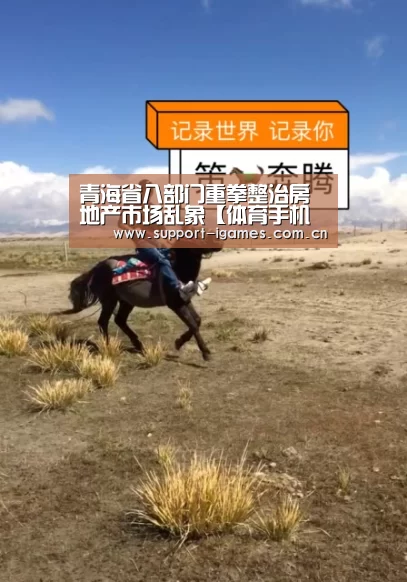 爱游戏体育直播