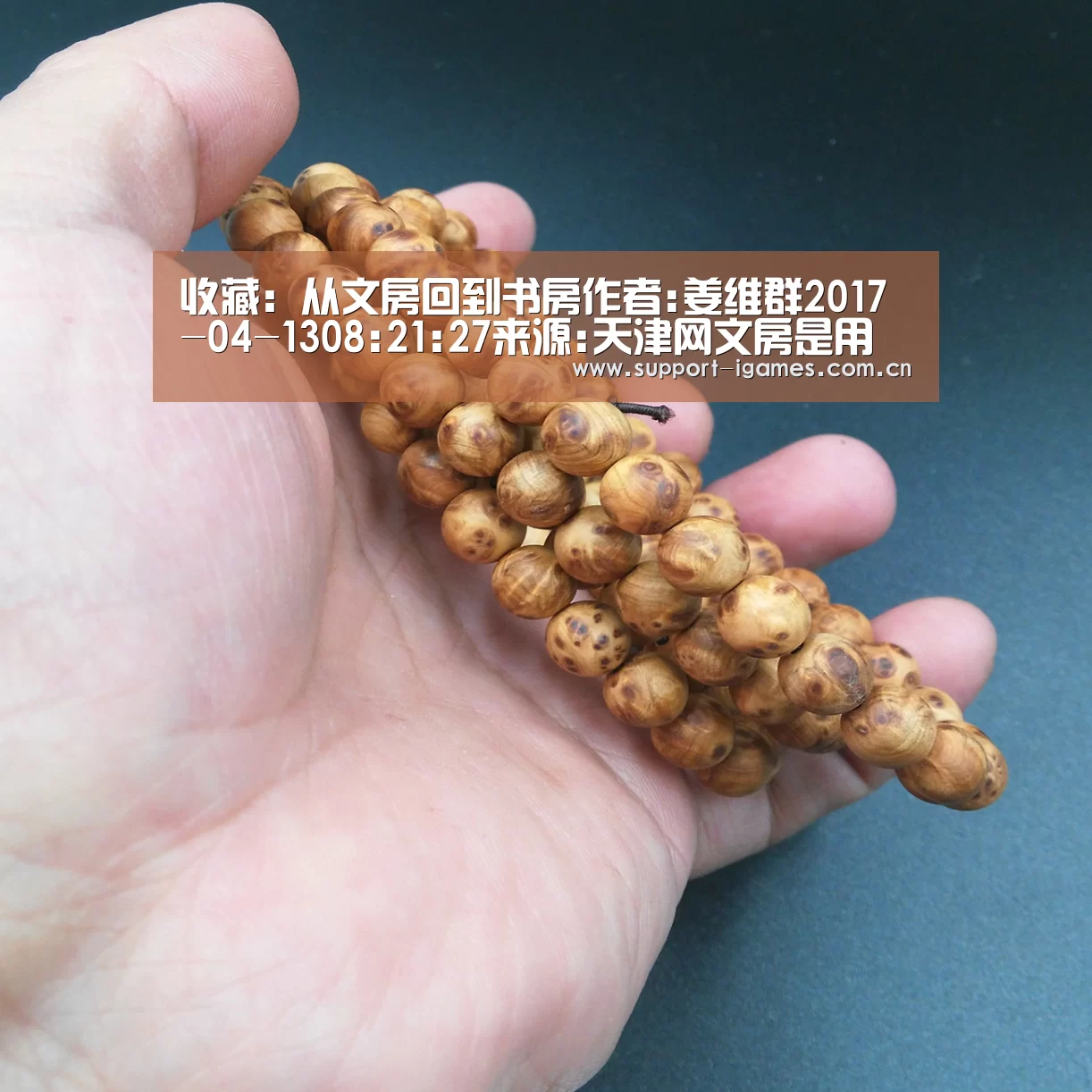 体育手机端APP